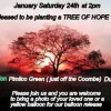 Tree of Hope Ceremony in Pimlico Tomorrow